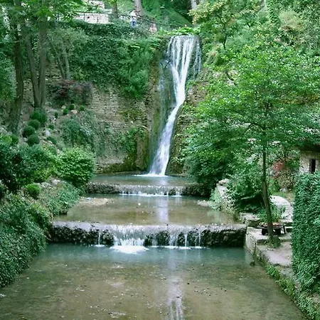 Guest Soleo 발치크