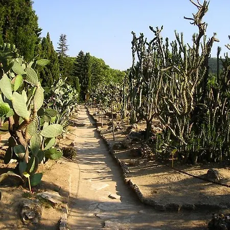 Guest Soleo 게스트하우스 3*