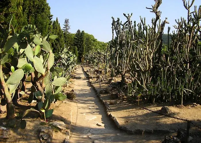 Guest Soleo Гостевой дом 3*